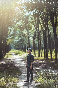 Man Looking at the Trees thumbnail