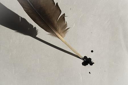 black ink on brown feather thumbnail