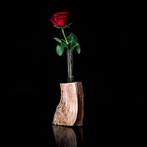 red rose flower in vase thumbnail