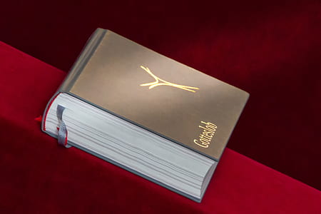 gray book on red surface thumbnail