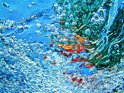 underwater photography thumbnail