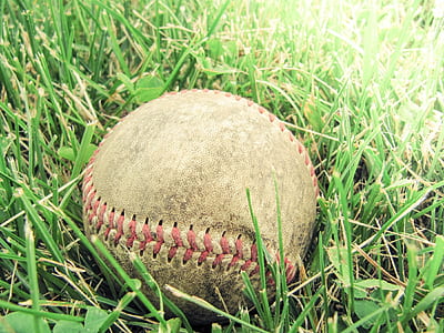 white baseball on grass thumbnail