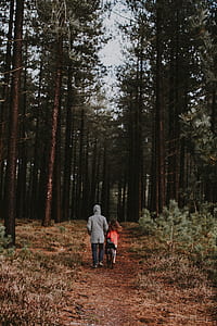 two person walking on pathway between trees thumbnail