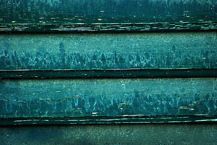 wood, green, turquoise, water, blind, nature thumbnail