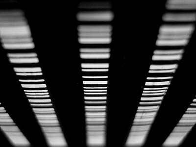 abstract, lines, black and white, texture thumbnail