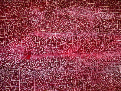 red, cracks, abstract, scotty's castle thumbnail