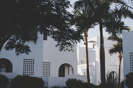 White House thumbnail