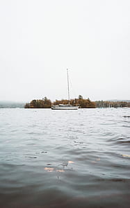 white boat near brown trees thumbnail