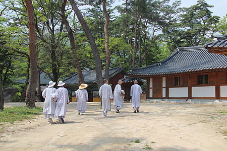 people walking near house thumbnail