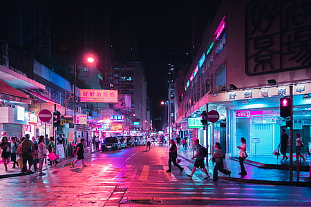 people walking on pedestrian lane on street thumbnail