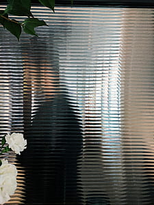window, silhouette, plant, leaf thumbnail