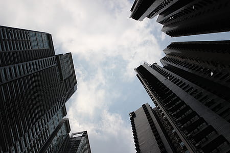 architectural photography of high-rise buildings thumbnail
