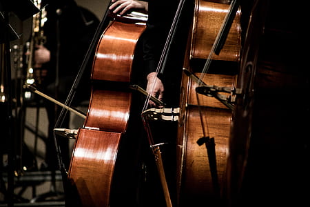 closeup photography of brown cello thumbnail
