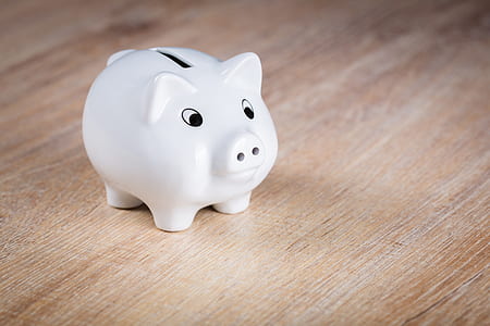white ceramic piggy bank thumbnail