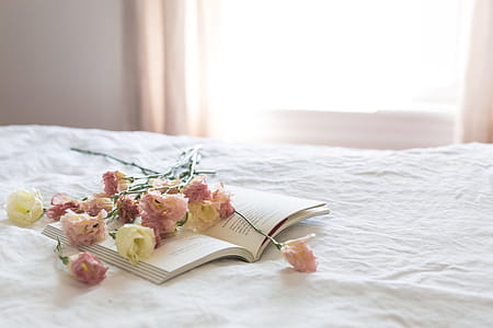 Flowers on Book Near Window thumbnail