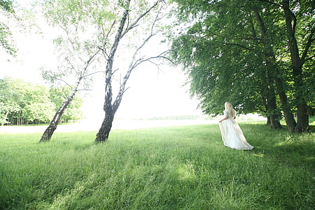 landscape, nature, woman, trees thumbnail