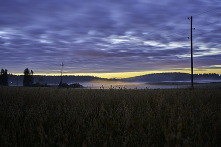 green grass field near electric posts thumbnail