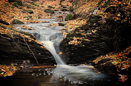 time lapse photography of river with brown dried leaves thumbnail
