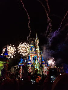 Photograph Of Disneyland thumbnail
