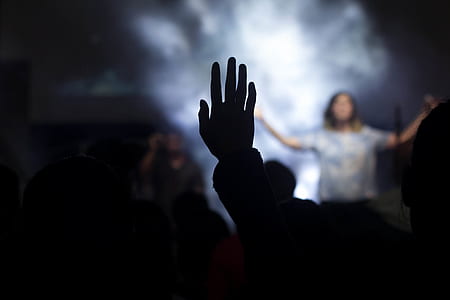 selective focus photo of people raising their hands thumbnail