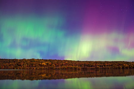 aurora, aurora borealis, light, forest thumbnail