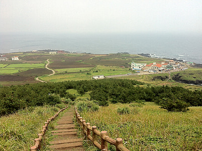 pathway between green grass and bushes in distant of body of water thumbnail