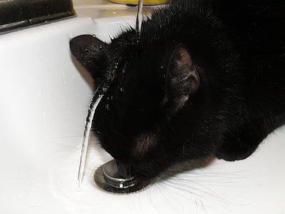 black coat on sink thumbnail