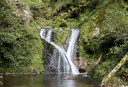 waterfalls between trees thumbnail