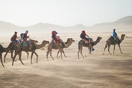 people riding donkeys on desert land thumbnail