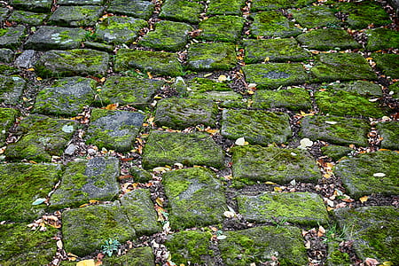 brick rocks covered by moss thumbnail
