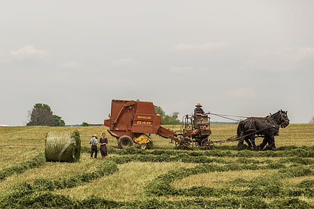 man using farm heavy equipment thumbnail