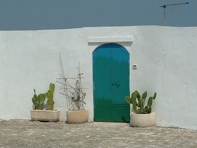 green metal door beside leafed plants thumbnail