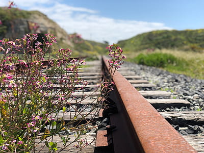 Shallow Focus Photography of Railroad thumbnail