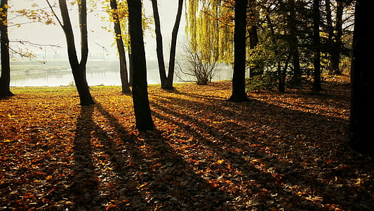 light, city, landscape, nature thumbnail