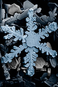 blue snowflakes close-up photo thumbnail