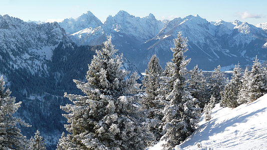 green trees with snow photo during daytime thumbnail