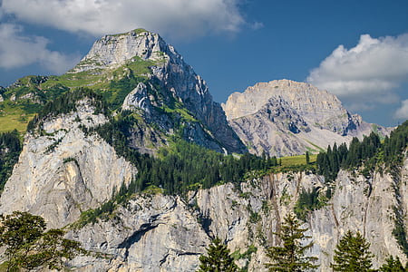 tree covered mountain during daytime thumbnail