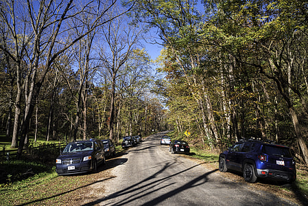 Autumn Trees with Cars on the Road in Morton County Forest, Wisconsin thumbnail