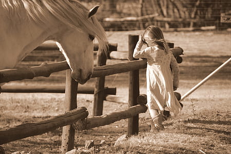 sepia photography of girl standing near horse thumbnail