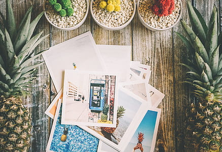White Photo Paper Near 2 Pineapple Fruit thumbnail