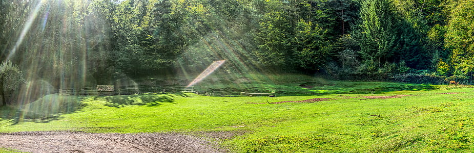 green grass thumbnail