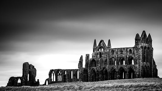 grayscale photography of ruins building thumbnail