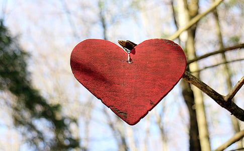 red heart board on tree branch thumbnail