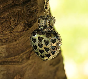 heart-shaped silver-colored pendant near brown tree trunk thumbnail