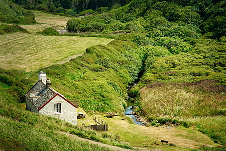 landscape photo of house surrounded by green grasss thumbnail