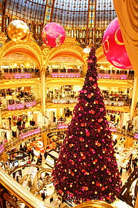 aerial photo of Christmas tree thumbnail