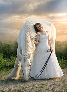 bride leaning on white horse thumbnail