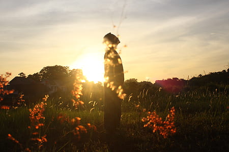 silhouette photo of man standing on garden field thumbnail