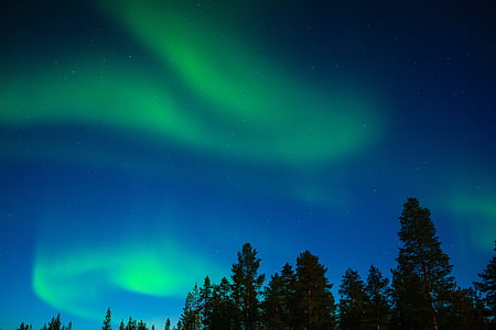 aurora borealis above silhouette of trees thumbnail