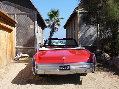 red Cadillac convertible parked beside tree thumbnail